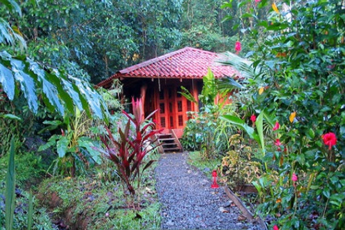 Playa Nicuesa Rainforest Lodge 005